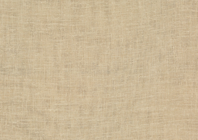 Shadow, Buttermilk - Fabric Only - Image 3